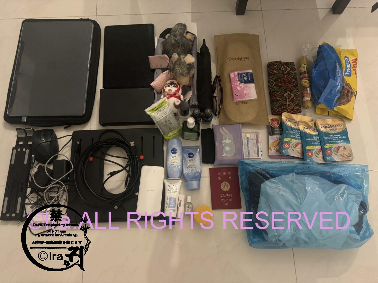 帰国前のやることチェックリスト【生活・買い物編】シンガポールと日本 IMG 0235 機内持ち込み荷物7kg以内の例LCC.Ira撮影