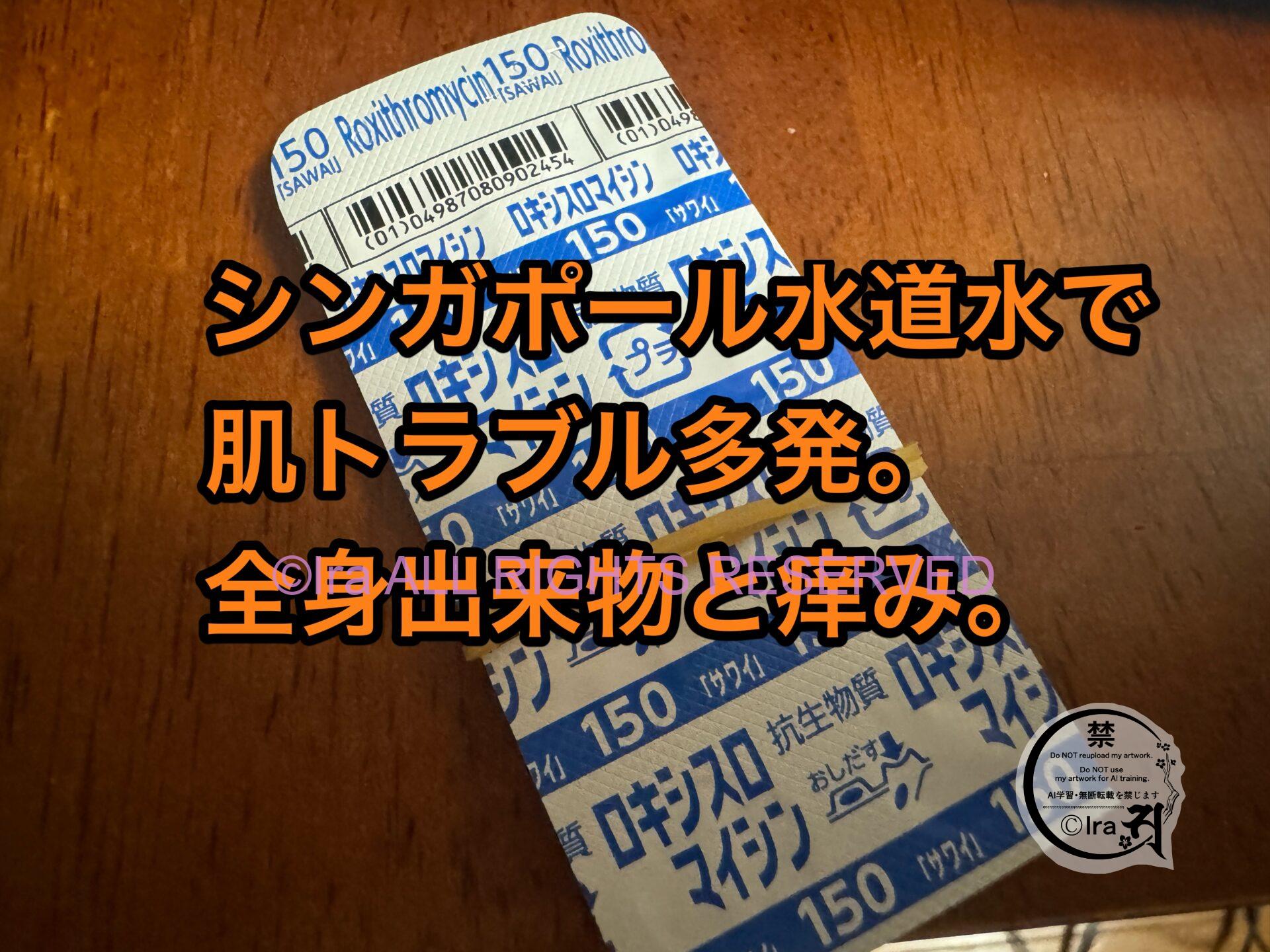 🇸🇬シャワーヘッドを日本製に変えたら肌トラブルが増えた.シンガポールの水道 IMG 1971