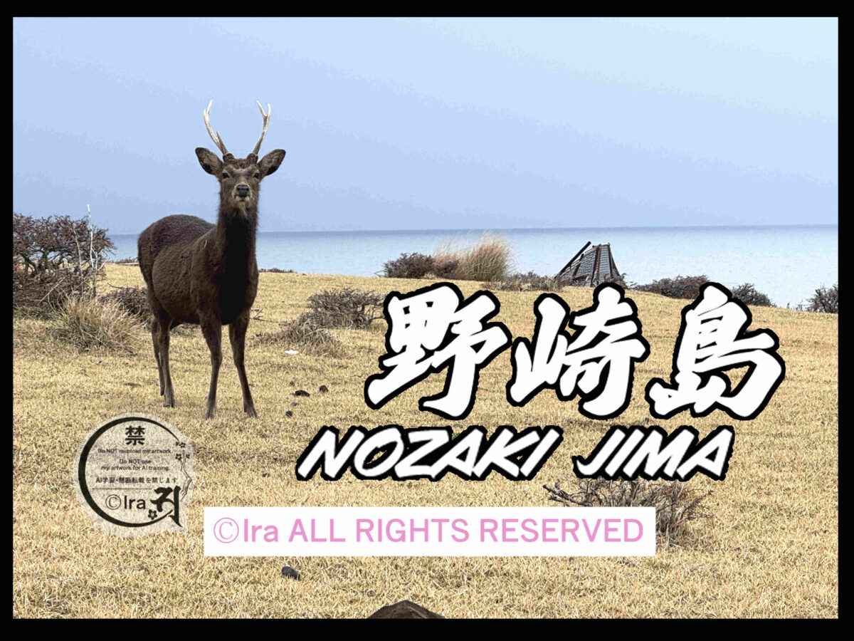 世界遺産廃墟.野崎島(のざきじま).長崎県平戸諸島/五島列島の有人島 7767986418b44b4a423bf111f322b246