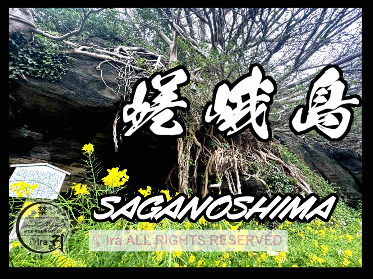 国際島漫画 まはらじま MAHARAJIMA｜作者 Ira（アイラ）