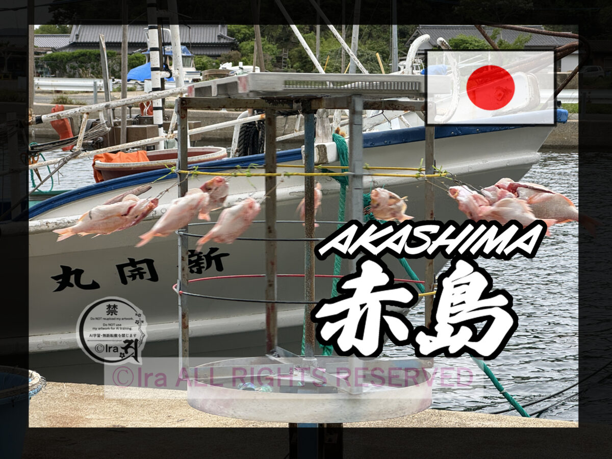 国際島漫画 まはらじま MAHARAJIMA｜作者 Ira（アイラ）
