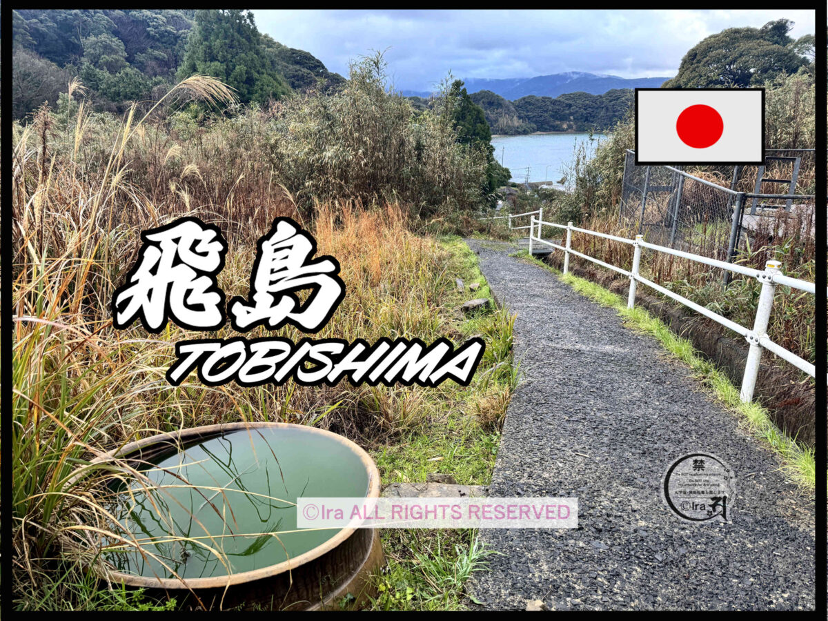 国際島漫画 まはらじま MAHARAJIMA｜作者 Ira（アイラ）