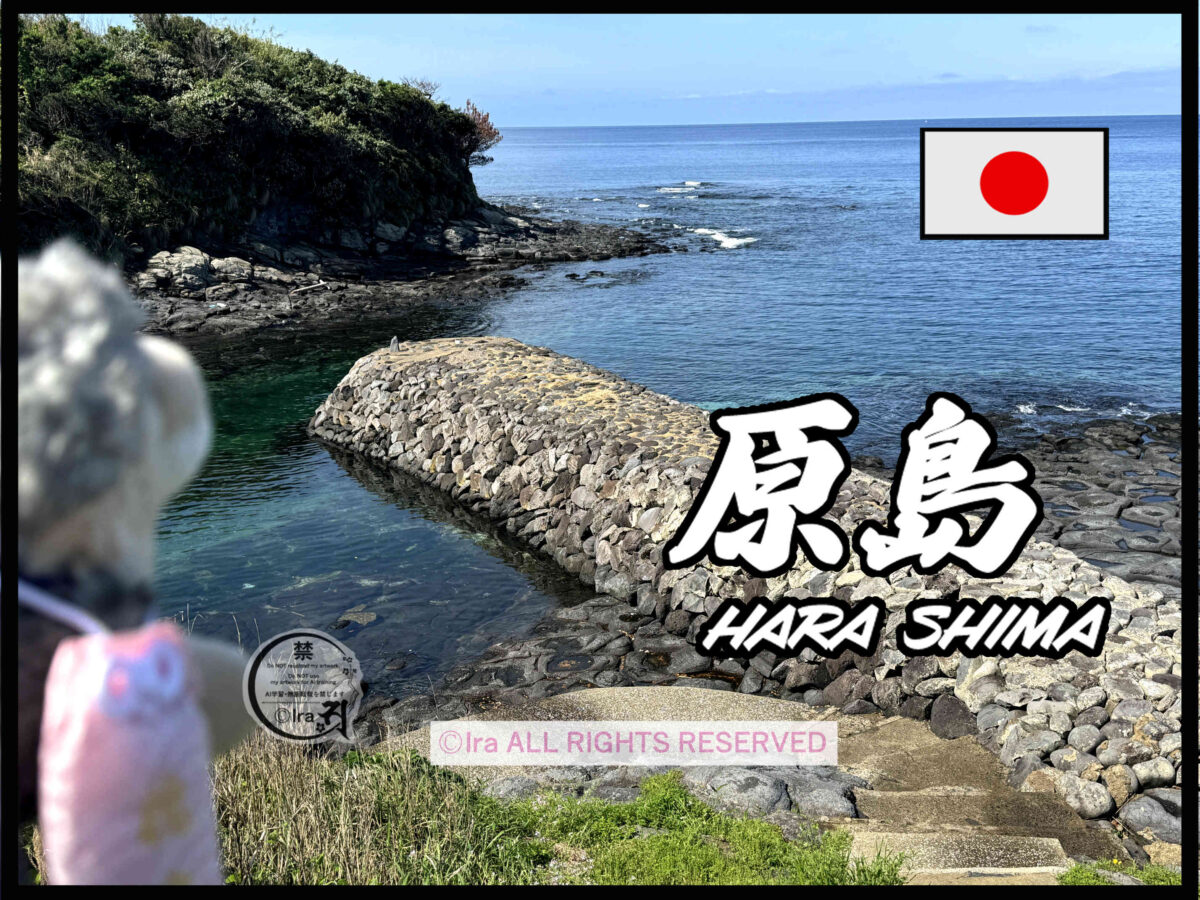 国際島漫画 まはらじま MAHARAJIMA｜作者 Ira（アイラ）
