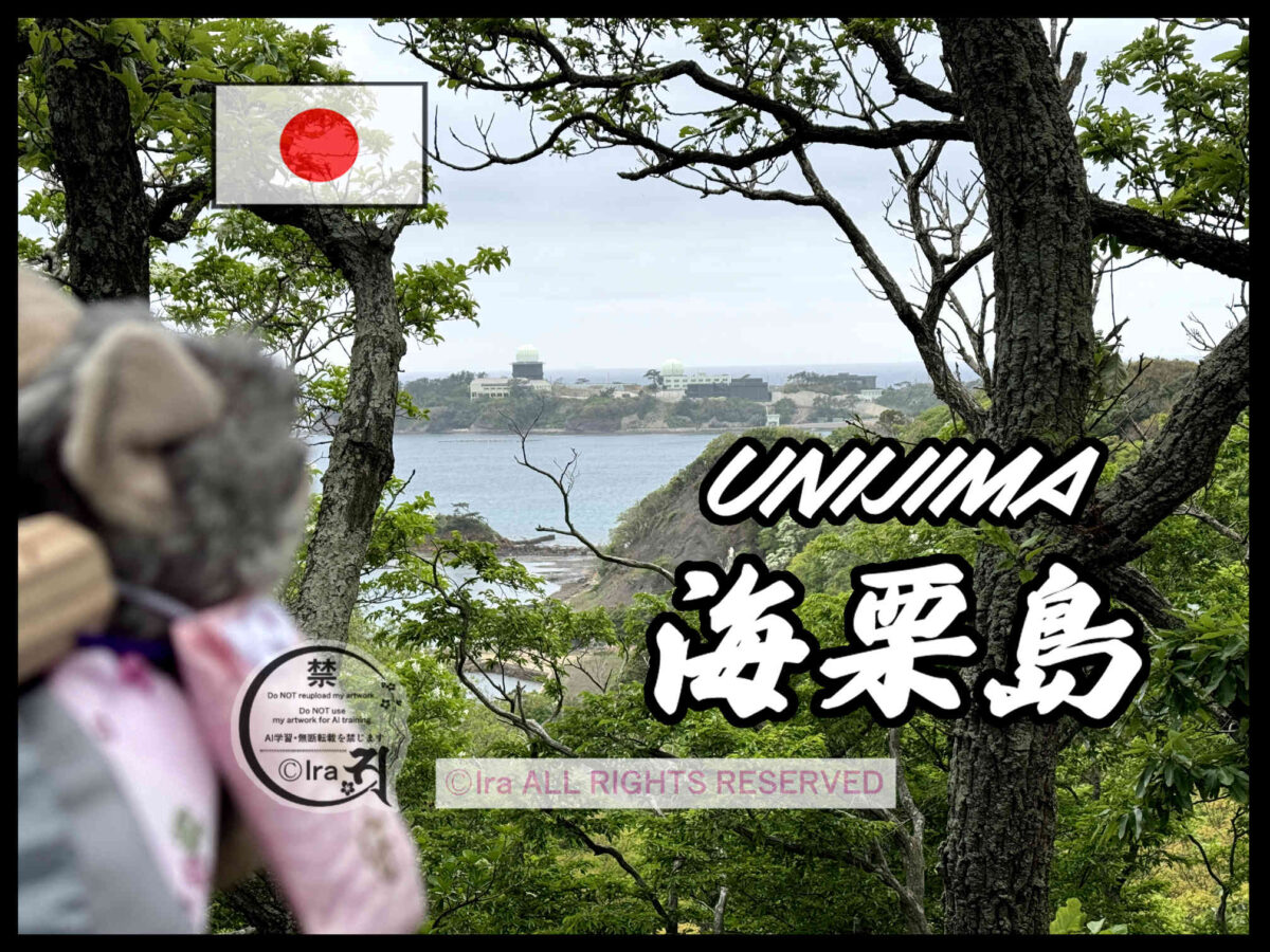 国際島漫画 まはらじま MAHARAJIMA｜作者 Ira（アイラ）