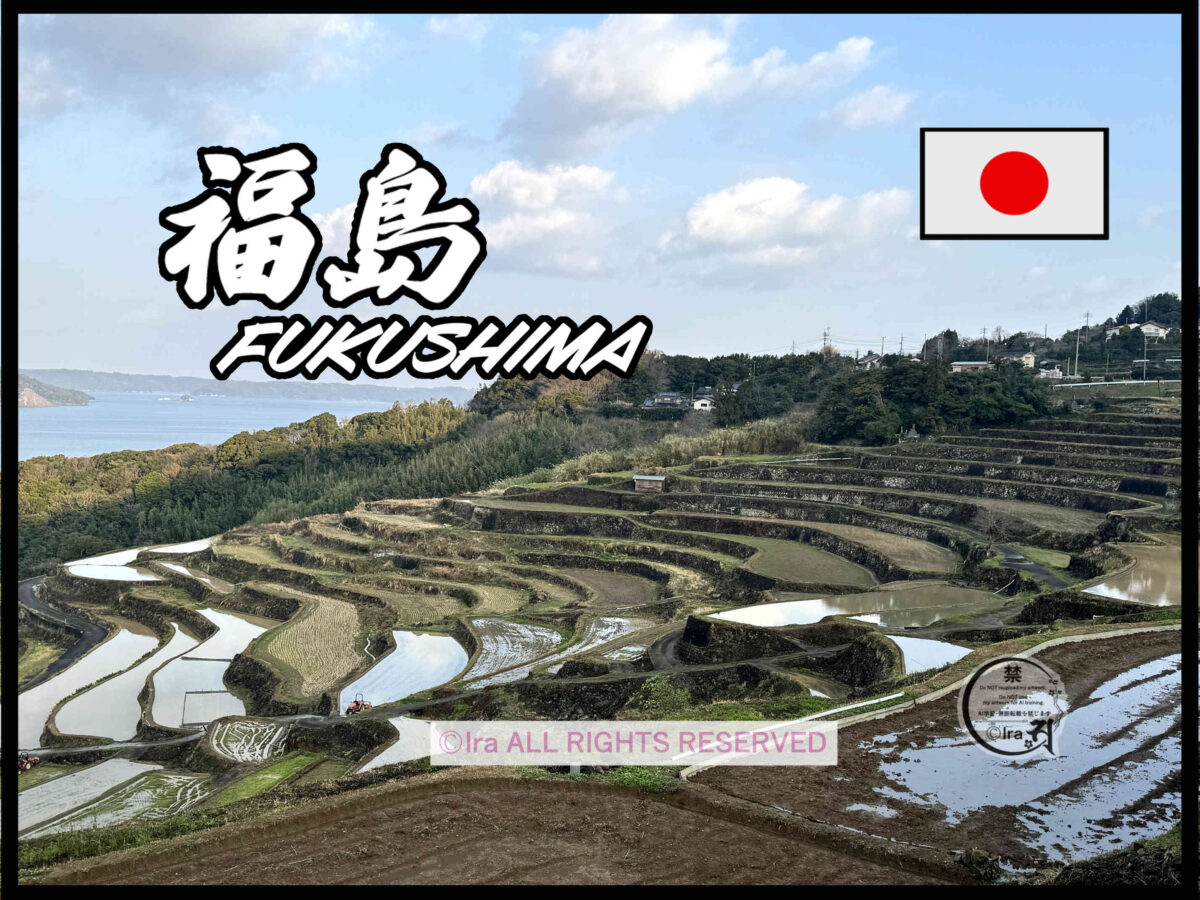 国際島漫画 まはらじま MAHARAJIMA｜作者 Ira（アイラ）