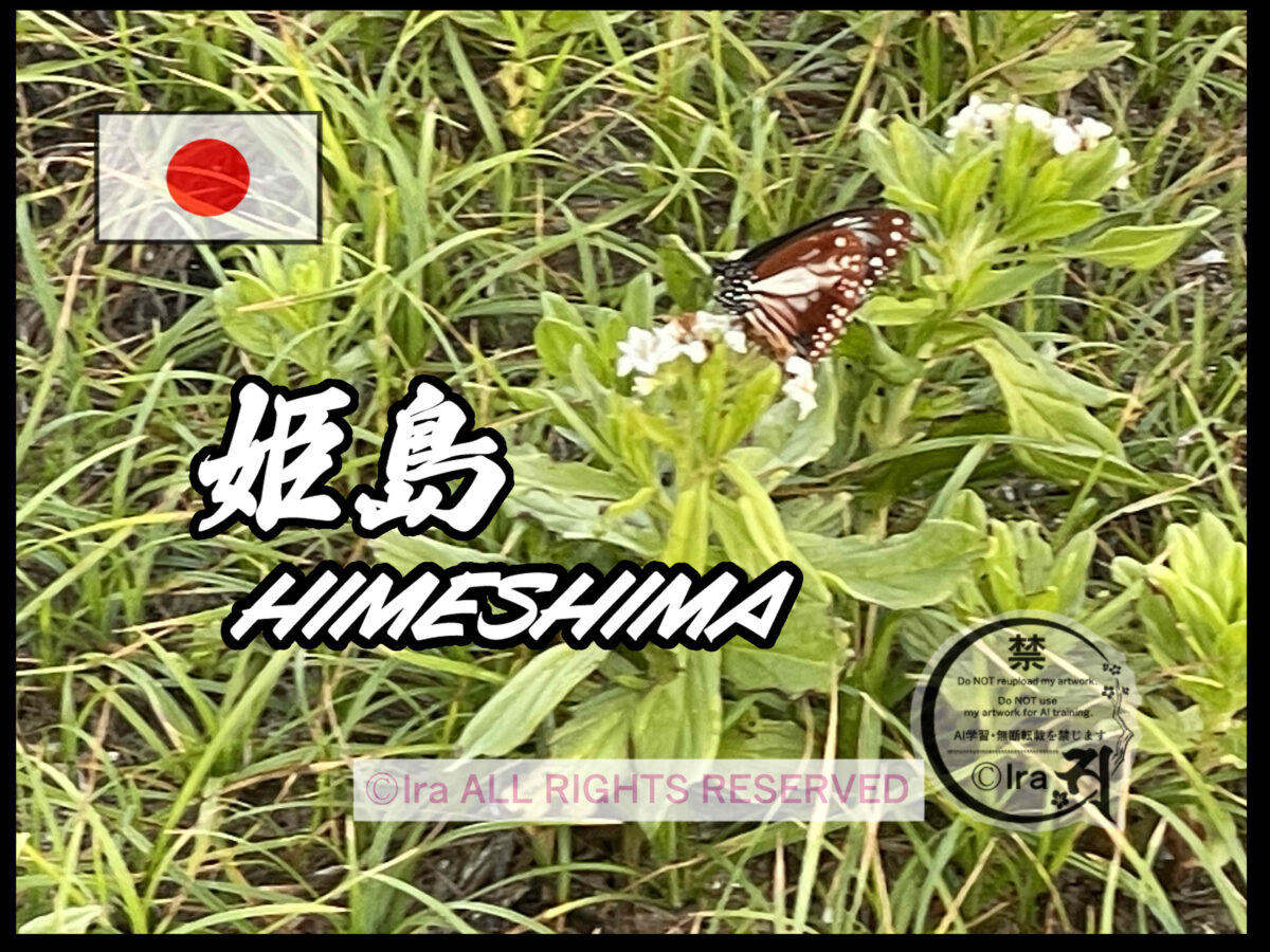 国際島漫画 まはらじま MAHARAJIMA｜作者 Ira（アイラ）