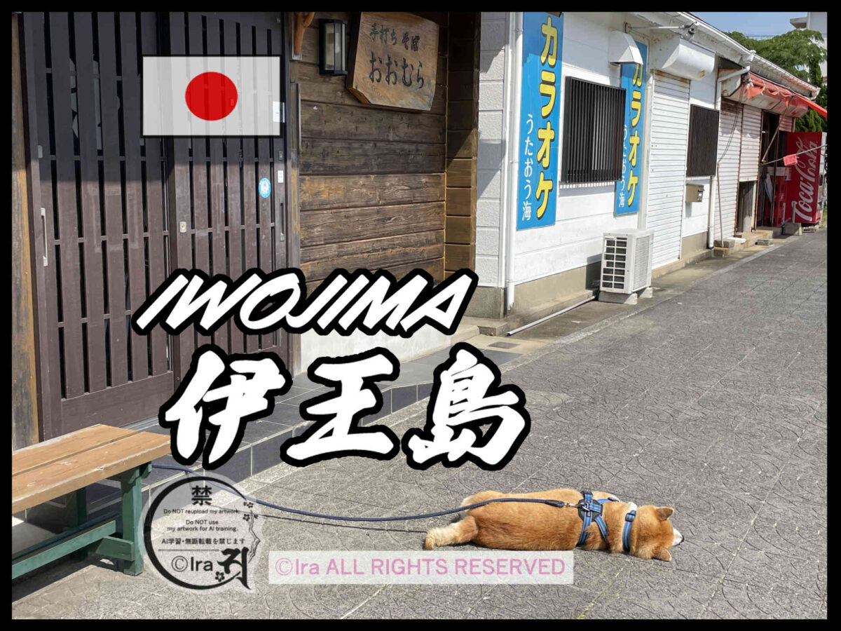 国際島漫画 まはらじま MAHARAJIMA｜作者 Ira（アイラ）