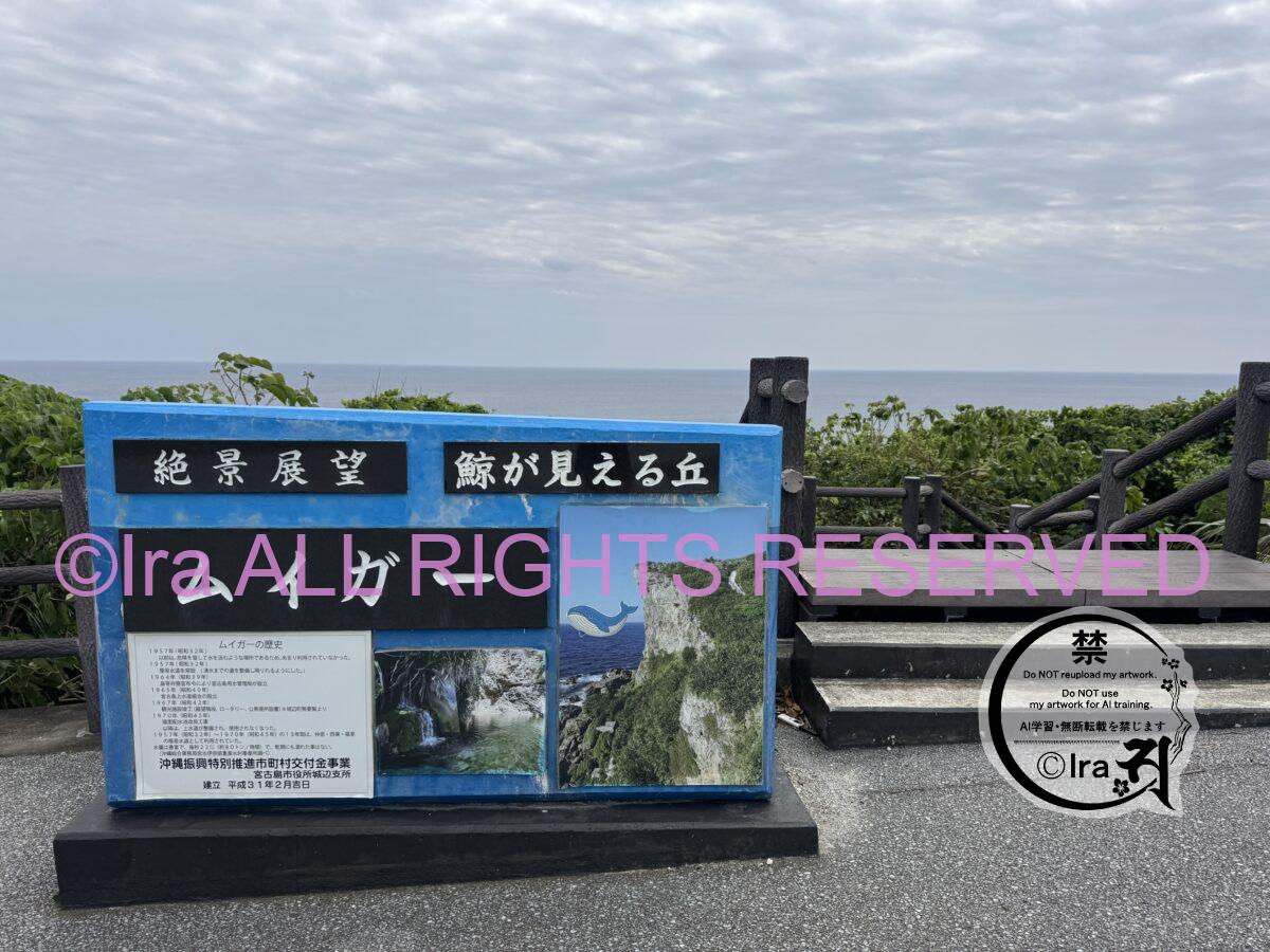 子供の模範にならない大人たち。路上寝とひき逃げ事故数ワースト一位の有人島:沖縄県宮古島 IMG 8334