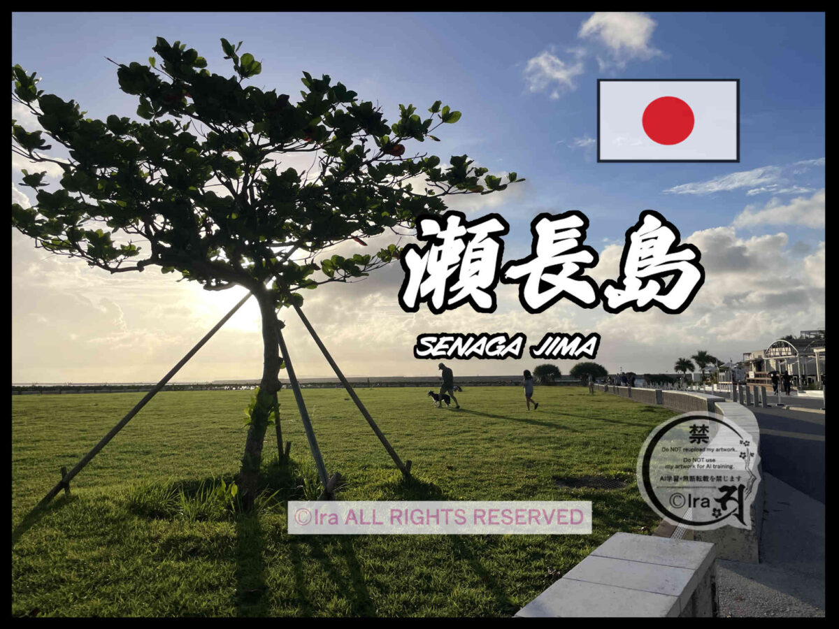 国際島漫画 まはらじま MAHARAJIMA｜作者 Ira（アイラ）