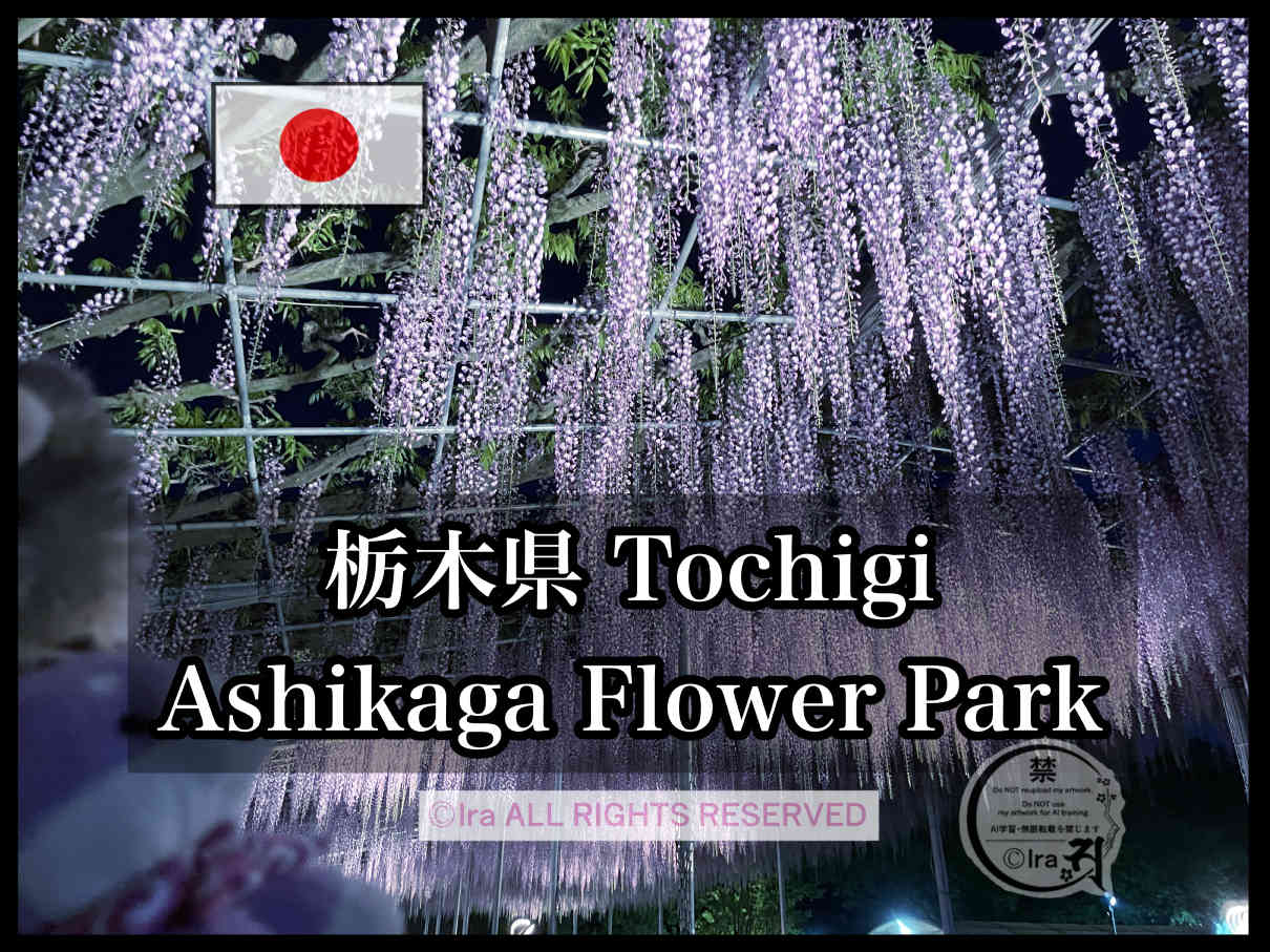【🇯🇵関東地方攻略と有人島】東京/神奈川/千葉/埼玉/栃木/群馬/茨城 bb40f771d4688297acc71f5a81150054