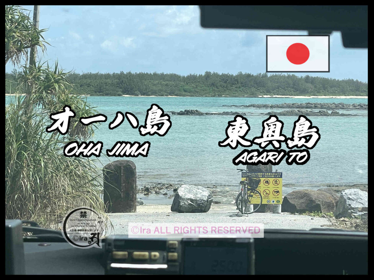 国際島漫画 まはらじま MAHARAJIMA｜作者 Ira（アイラ）