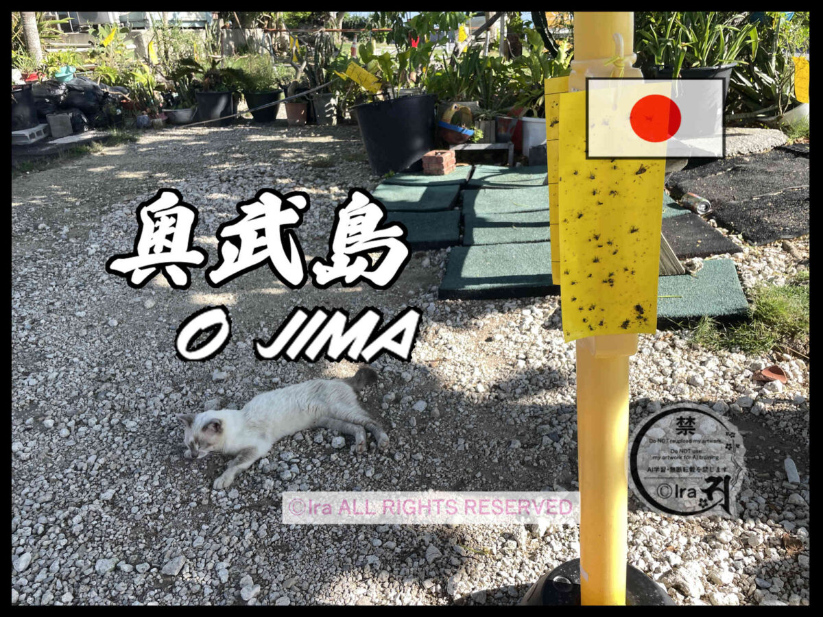 国際島漫画 まはらじま MAHARAJIMA｜作者 Ira（アイラ）