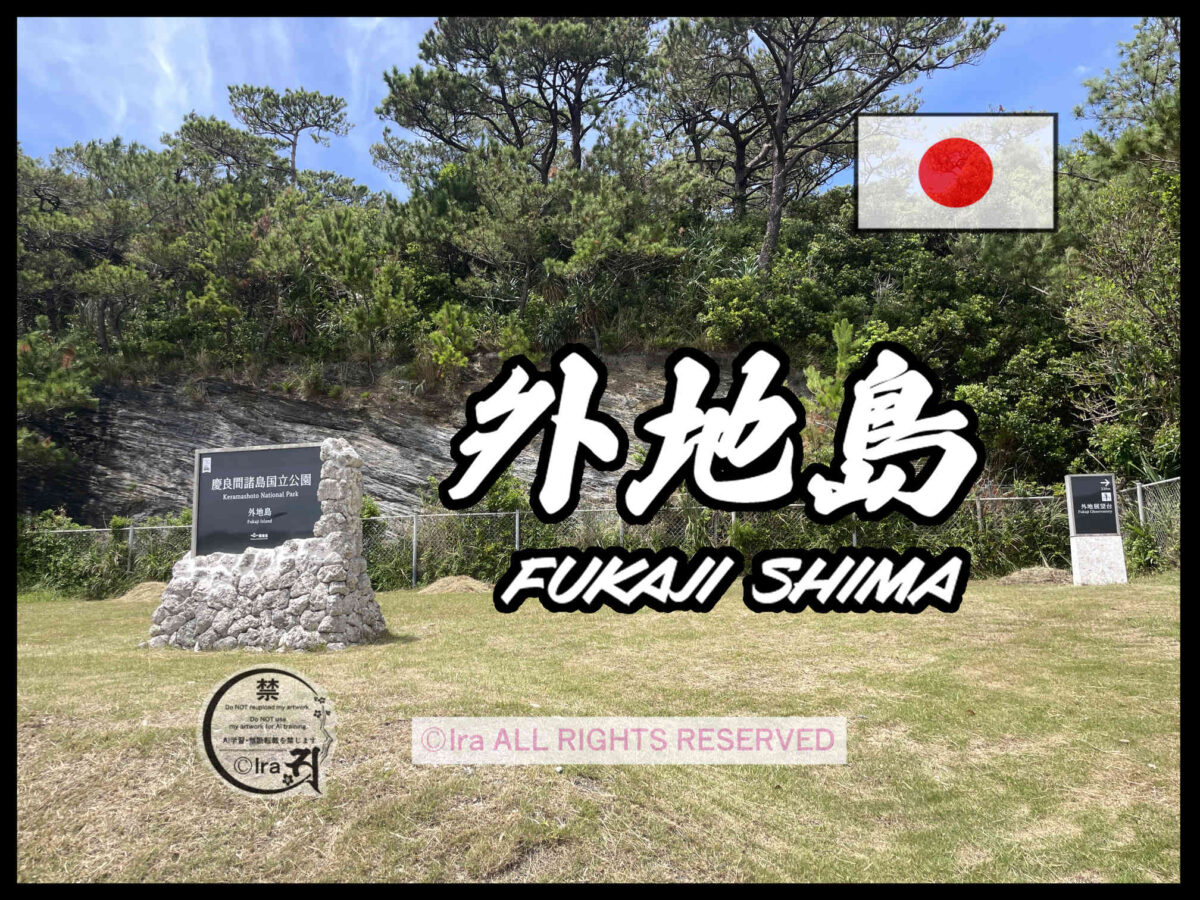 国際島漫画 まはらじま MAHARAJIMA｜作者 Ira（アイラ）