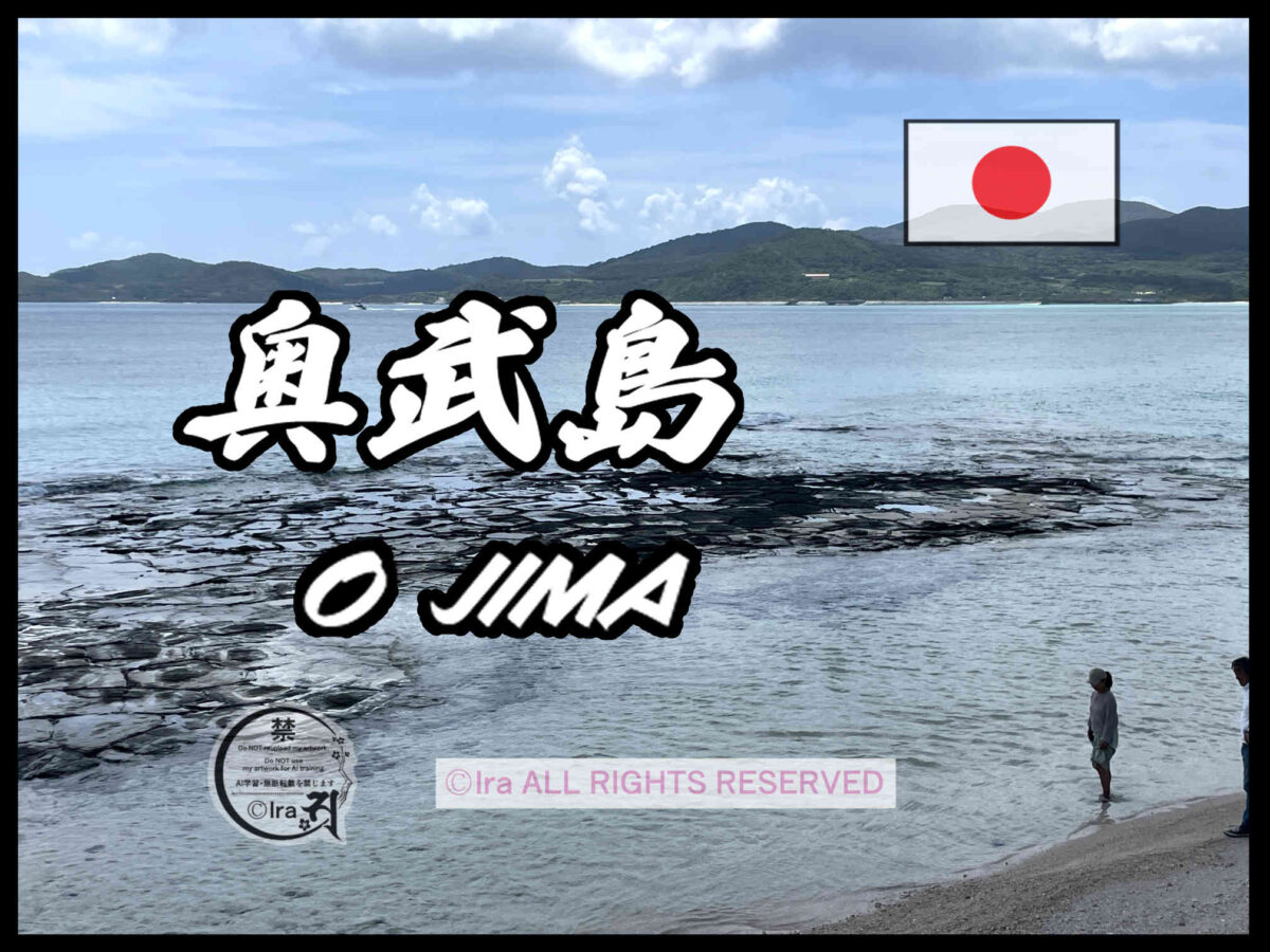 国際島漫画 まはらじま MAHARAJIMA｜作者 Ira（アイラ）