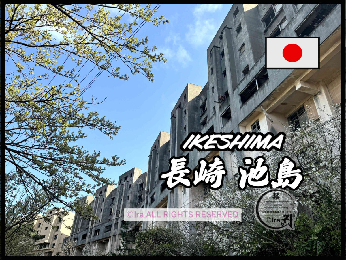 国際島漫画 まはらじま MAHARAJIMA｜作者 Ira（アイラ）