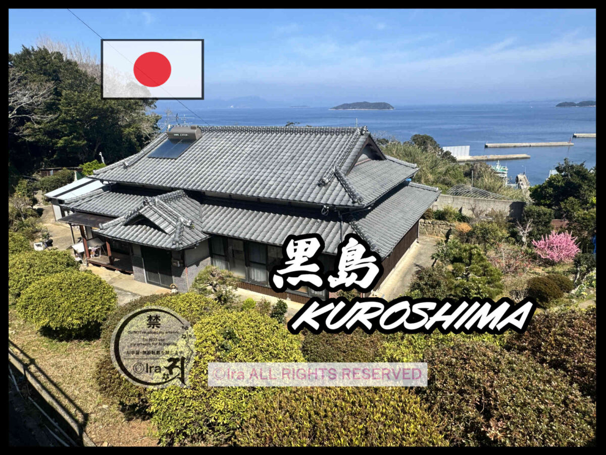 国際島漫画 まはらじま MAHARAJIMA｜作者 Ira（アイラ）