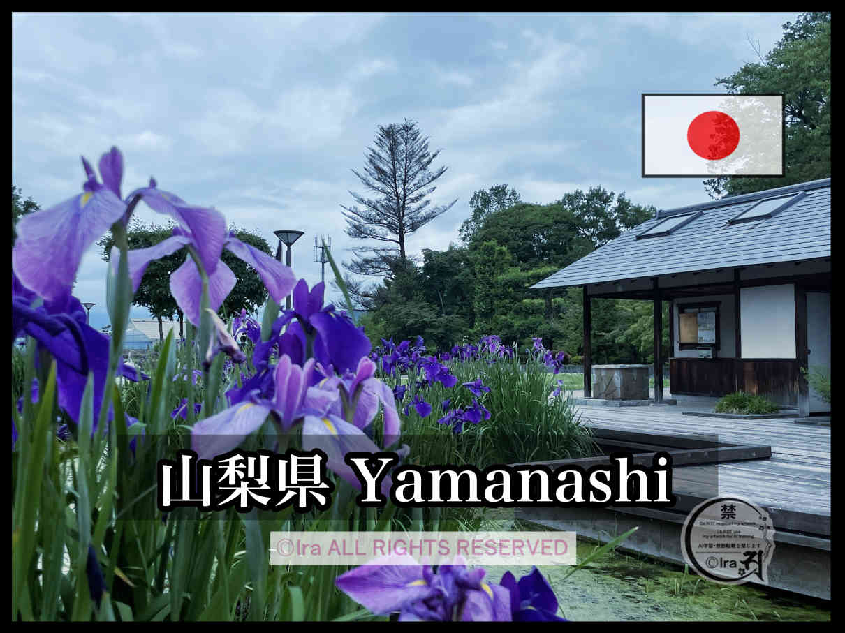 国際島漫画 まはらじま MAHARAJIMA｜作者 Ira（アイラ）