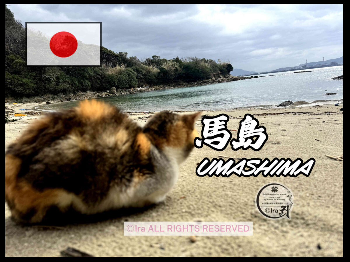 国際島漫画 まはらじま MAHARAJIMA｜作者 Ira（アイラ）