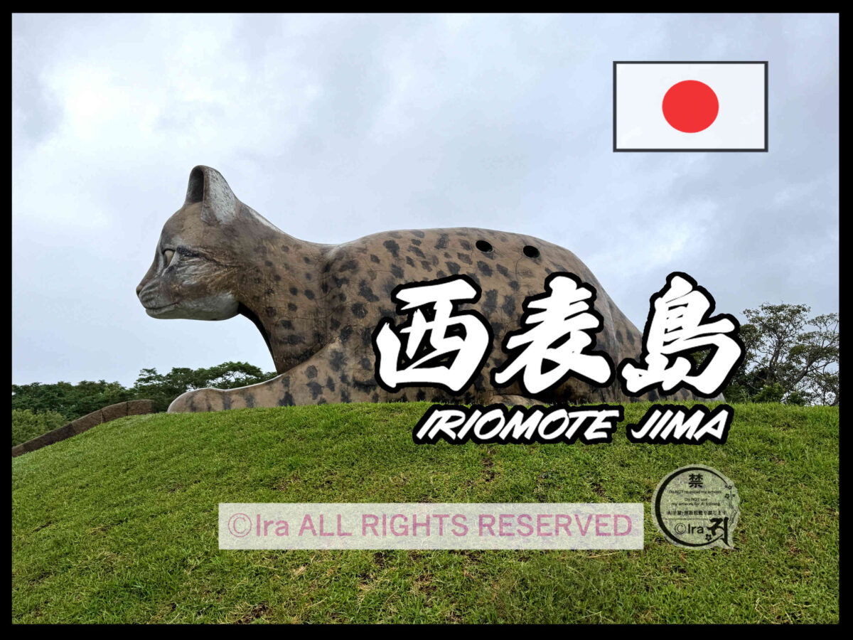 国際島漫画 まはらじま MAHARAJIMA｜作者 Ira（アイラ）