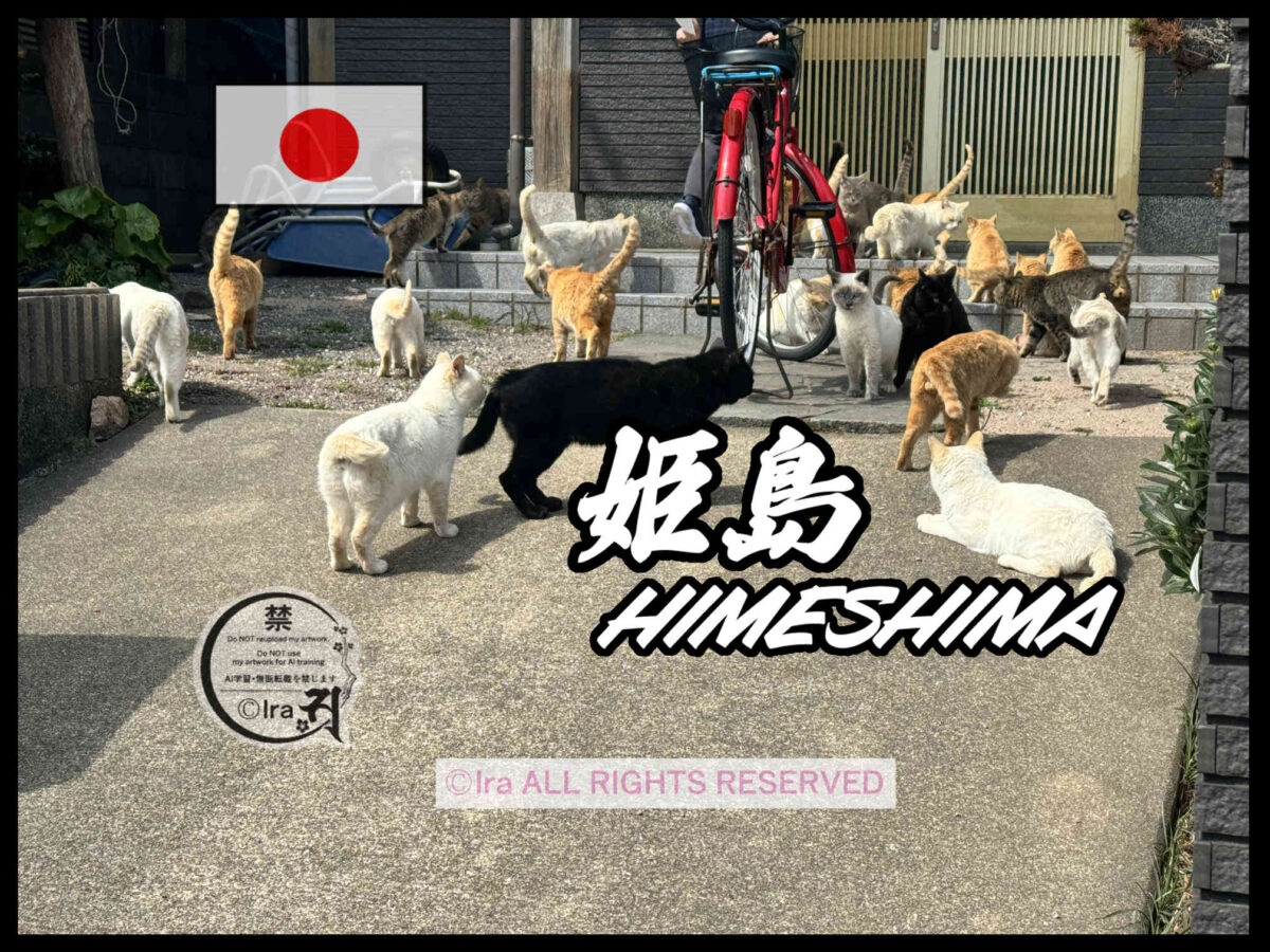 国際島漫画 まはらじま MAHARAJIMA｜作者 Ira（アイラ）