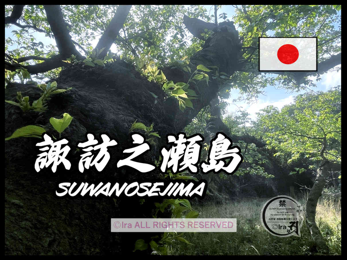 国際島漫画 まはらじま MAHARAJIMA｜作者 Ira（アイラ）