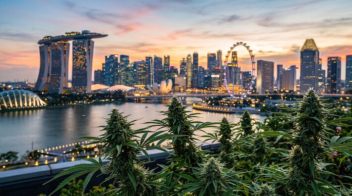シンガポールの法律と麻薬・大麻・マリファナ|トップページ a033cc95b9603c6543a7f437e444b643 シンガポールの法律と麻薬・大麻・マリファナ