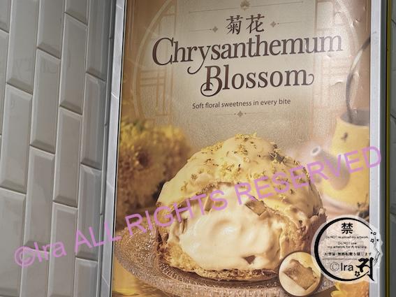 ９月限定ビアードパパのシュークリーム｜Chrysanthemum