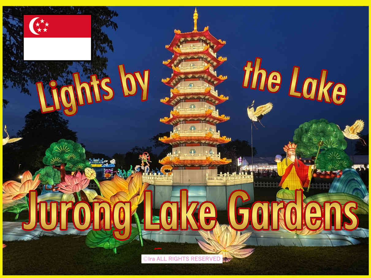 sg Jurong garden lights